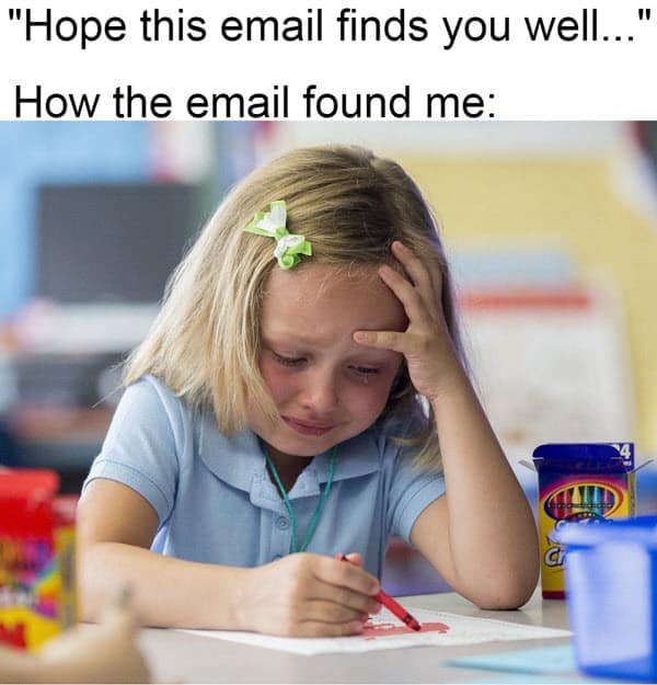 A RoundUp of Eight of Our Favorite Email Memes rasa.io