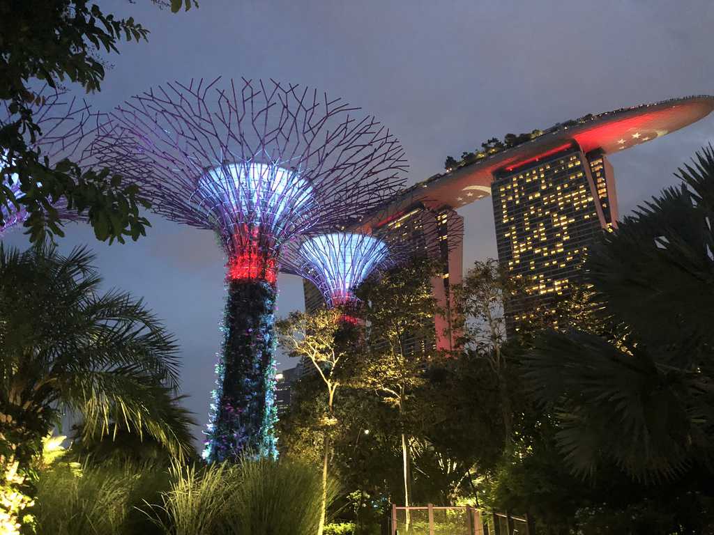 Gardens by the Bay at night