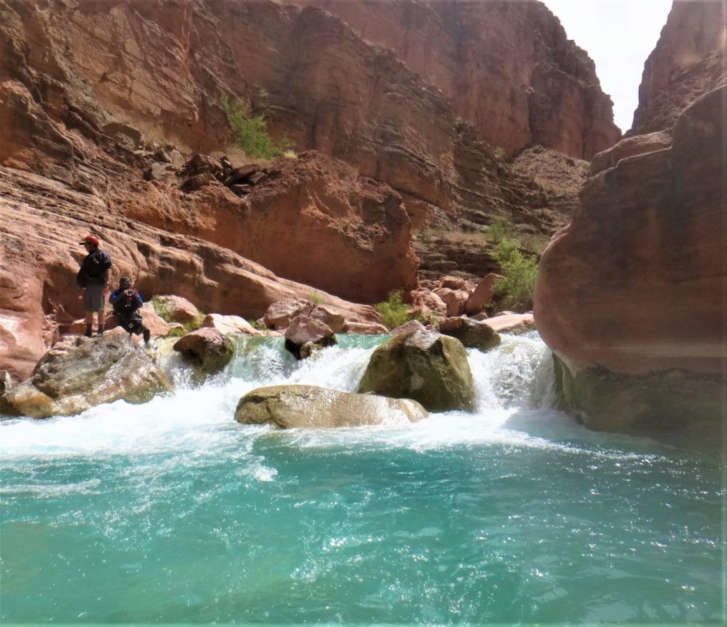 Havasu Canyon Creek