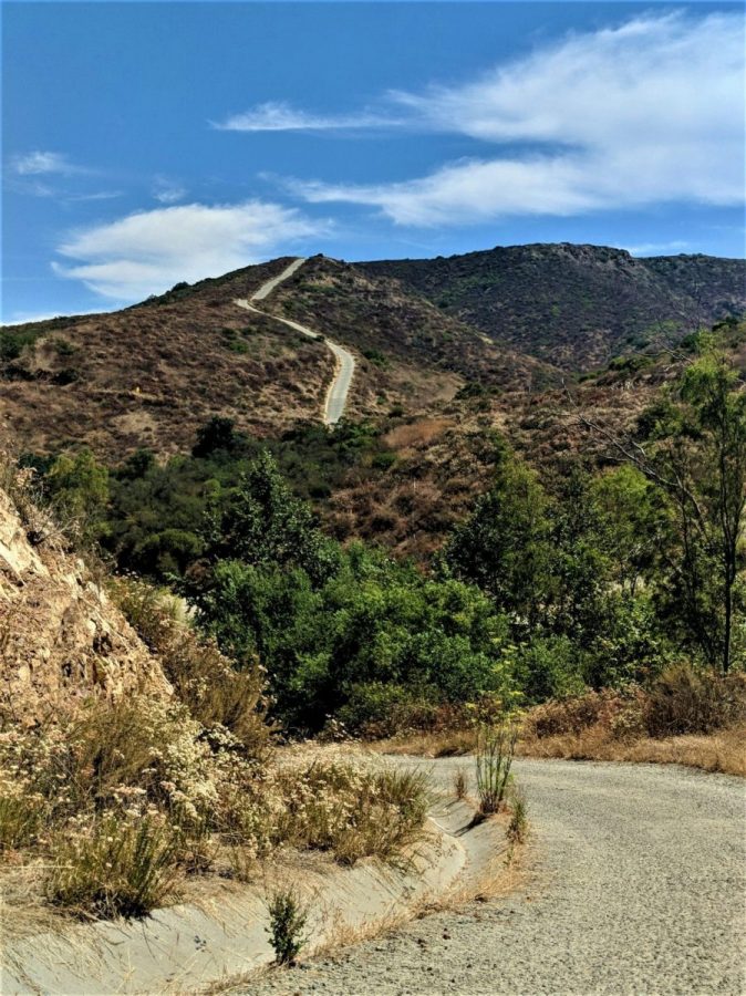Route d'entraînement pour l'Ultra Marathon