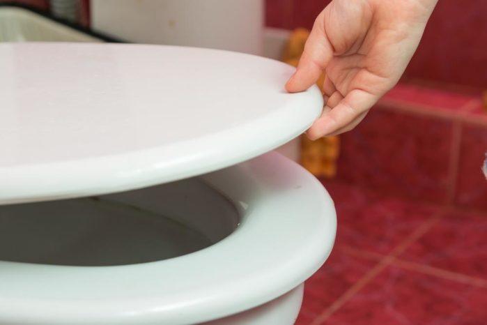 How to Remove Toilet Seat in 3 Hassle-free Ways Possible How to Remove Toilet Seat in 3 Hassle-free Ways Possible