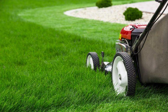 Lawn Mower Lawn Mower