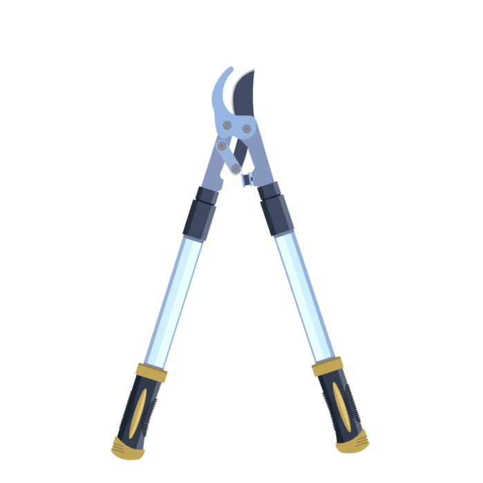 Loppers What is The Best Tree Pruner? Let This Guide Tell You!