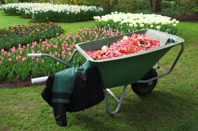 how to find best wheelbarrow how to find best wheelbarrow