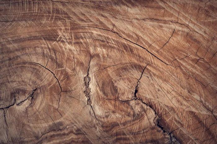 Walnut Wood Walnut Wood