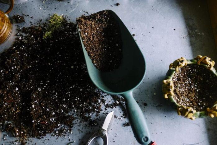 gardening gardening