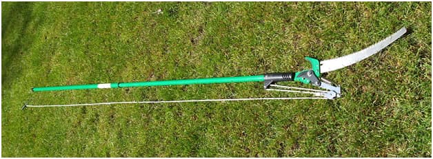 Pole Saw How to Use a Pole Saw