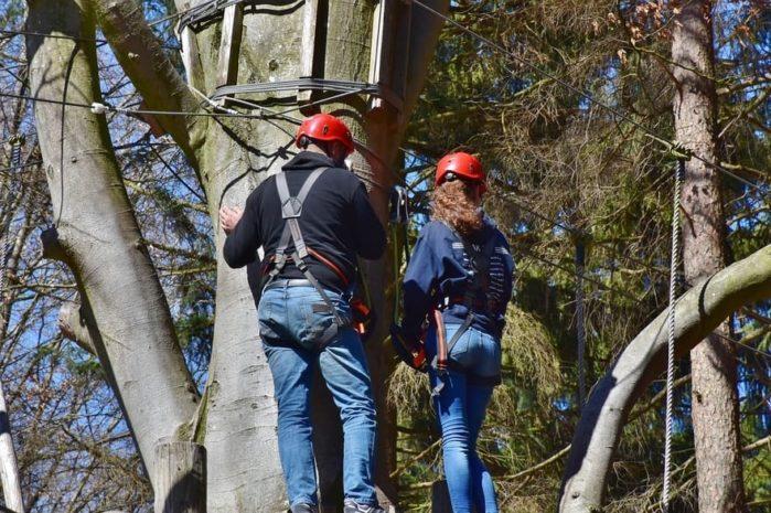 Tree climbing gear How To Climb Trees