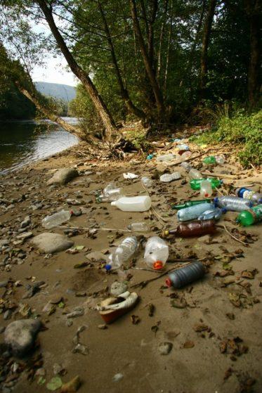 bottles Negative Effects Of Improper Rubbish Removal