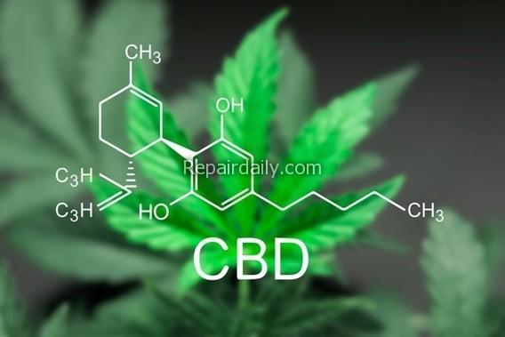 cbd cbd