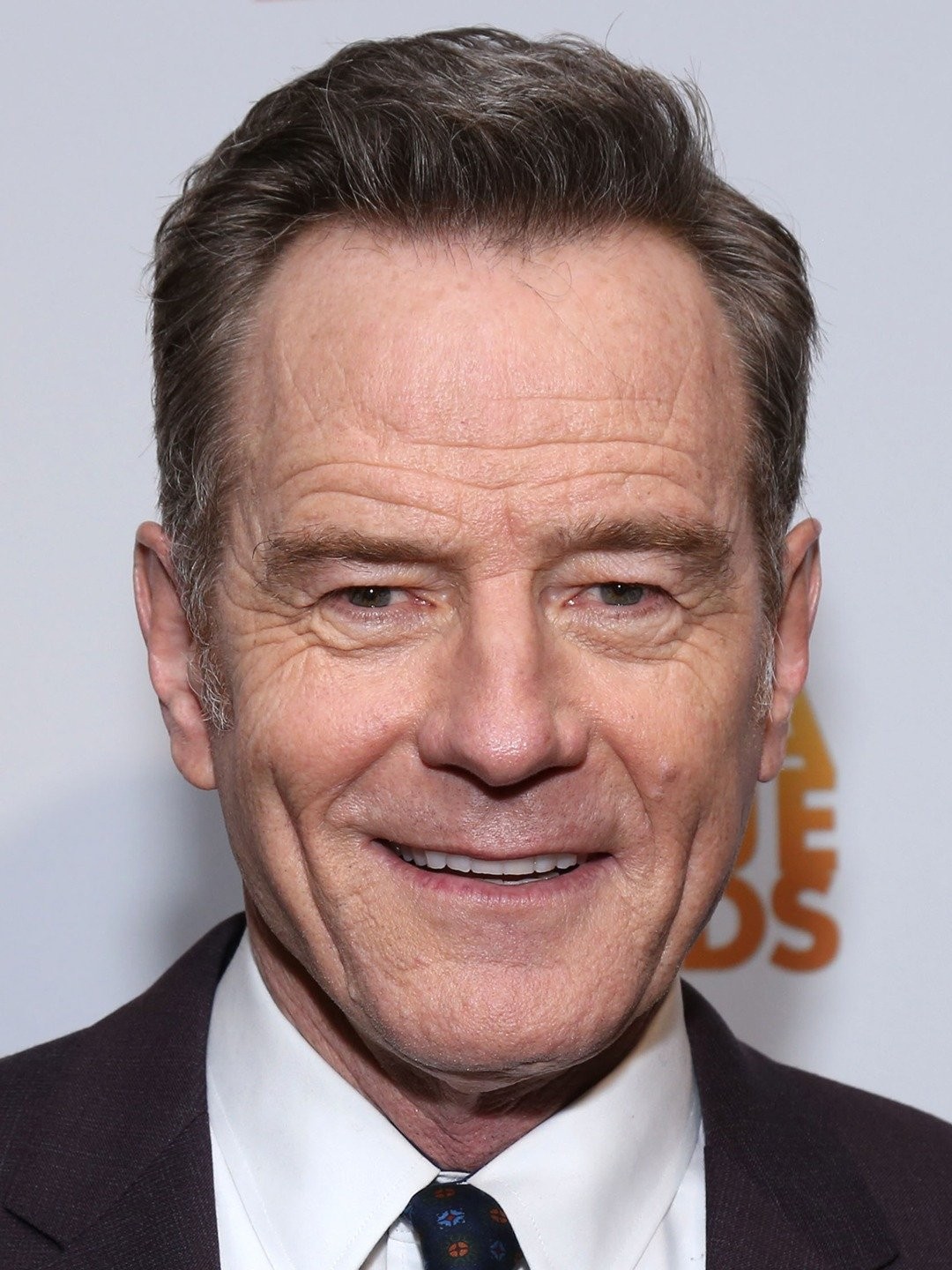 Bryan Cranston Pictures Rotten Tomatoes