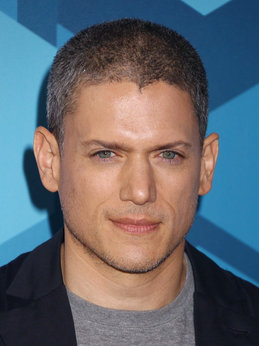 Wentworth Miller Pictures Rotten Tomatoes