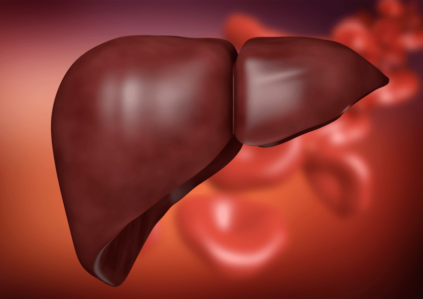 Calcoli Nella Colecisti Salute Plus