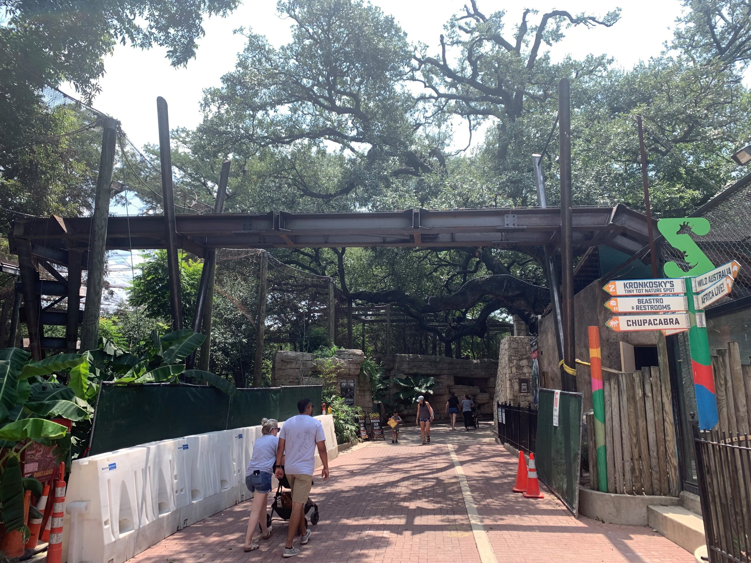 New San Antonio Zoo Features To Spotlight Rainforest Conservation