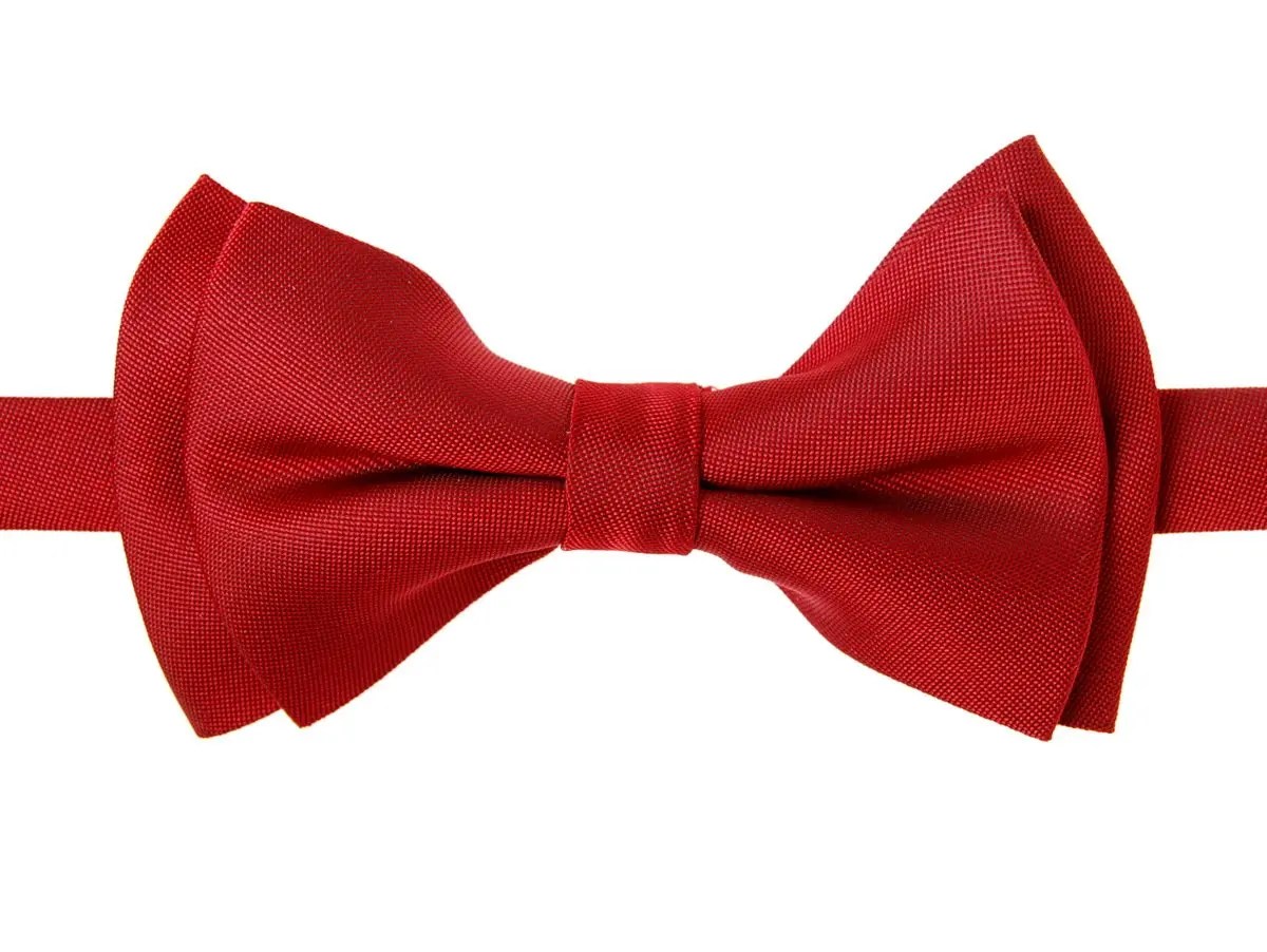 Bonnie Bowtie Telegraph