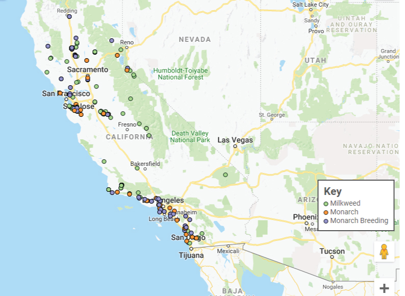 monarch 2018 map