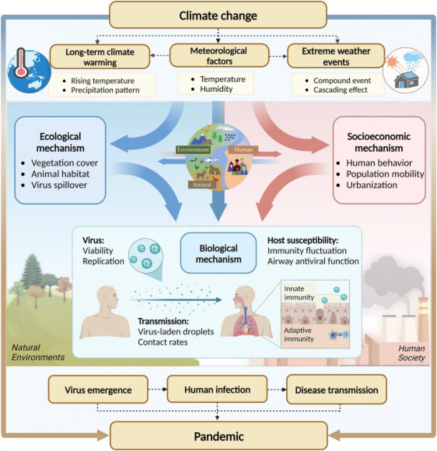 Viral respiratory infections in a rapidly changing climate the need to prepare for the next