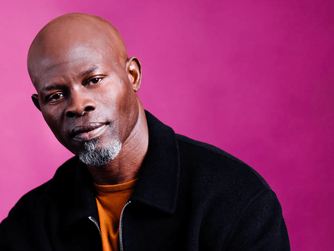 Djimon Hounsou Career, Age, Family and Net worth House