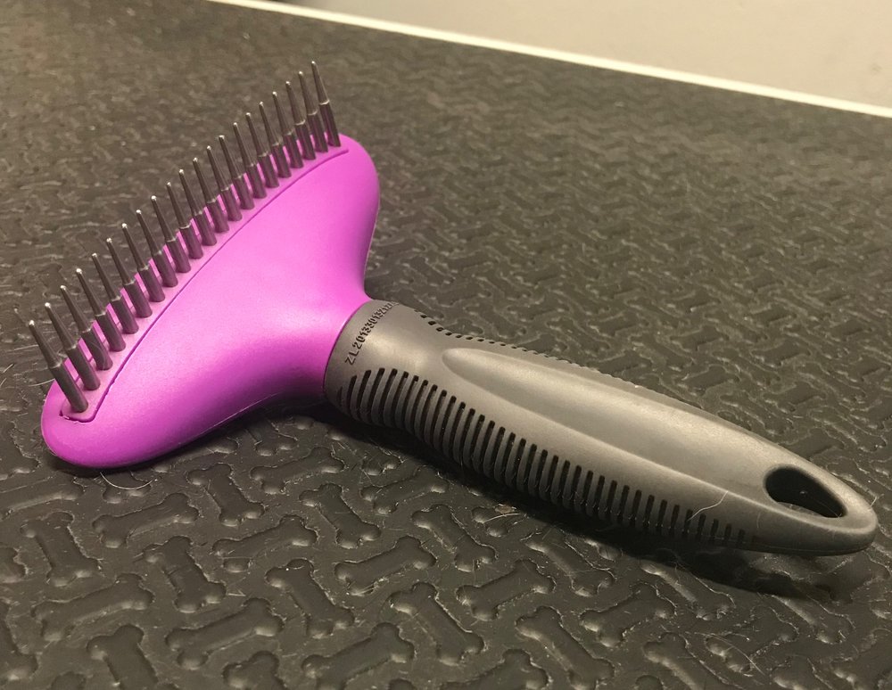 Types of Dog Brushes Singapore Pet Grooming