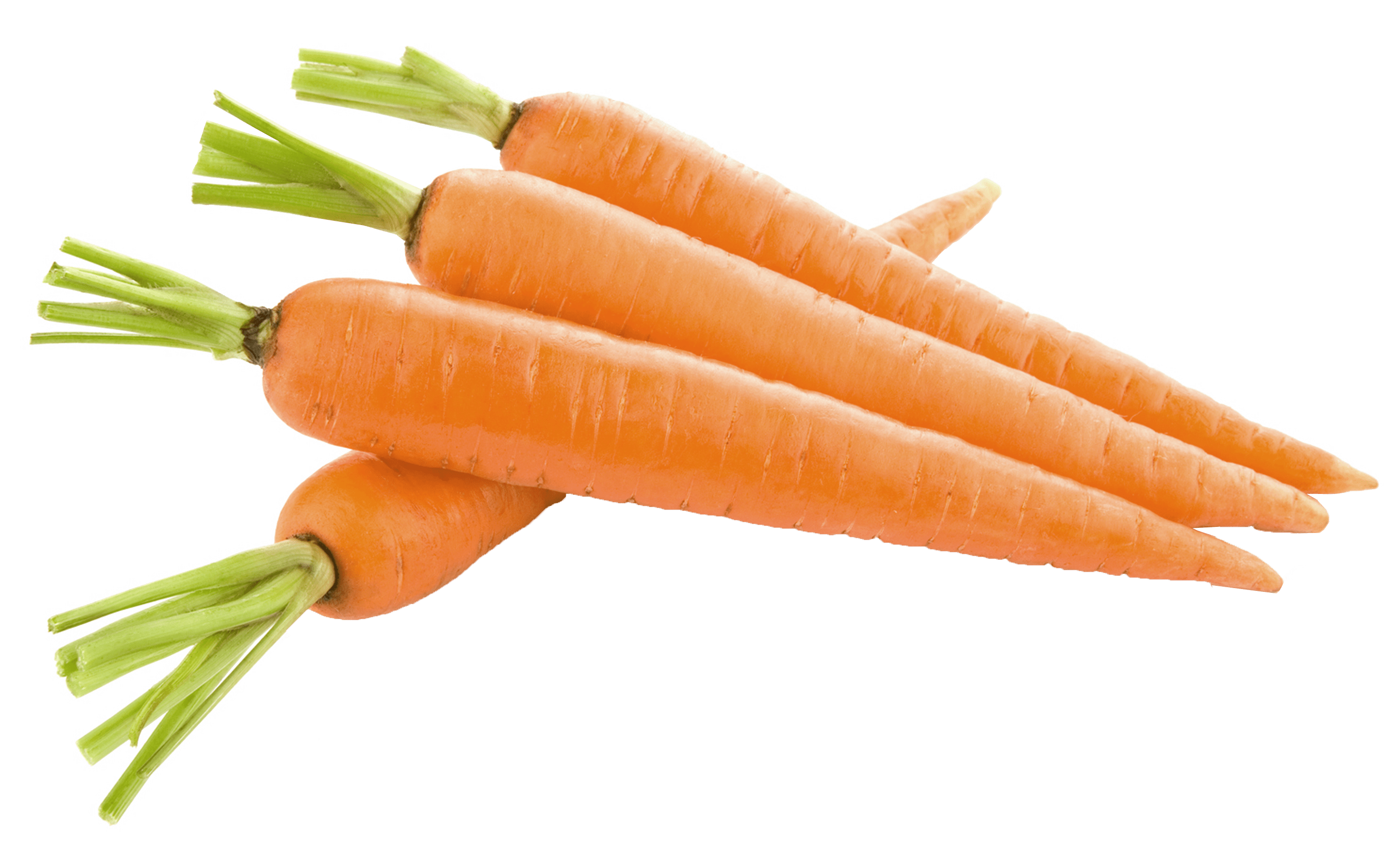 Carrots Helping Eyesight? SiOWfa15 Science in Our World Certainty