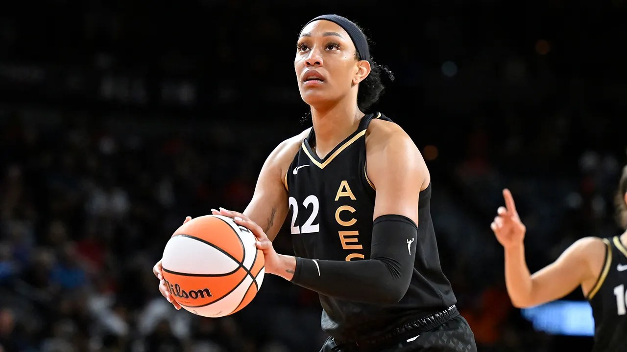WNBA star A'ja Wilson boxes out Nets forward Mikal Bridges 'We cool over here' Fox News