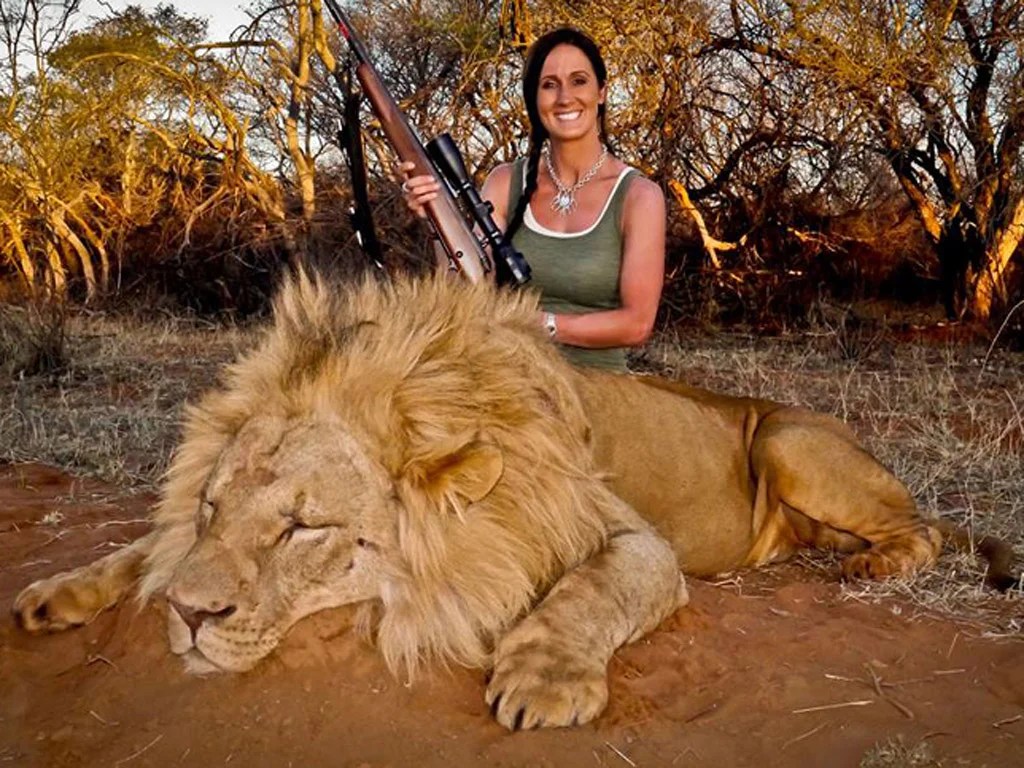 Melissa Bachman's dead lion photo So much for education by Twitter