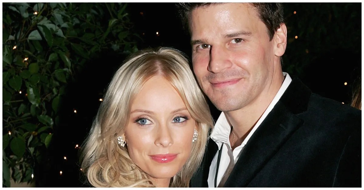 Who Is David Boreanaz's Wife Jamie Bergman, And What Does She Do?