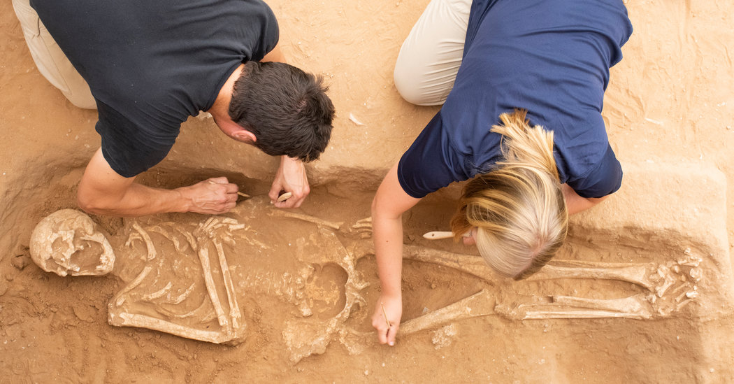 DNA Begins to Unlock Secrets of the Ancient Philistines The New York