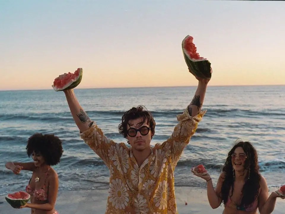 'Watermelon Sugar' Has Harry Styles Fans Deciphering Clues Once Again