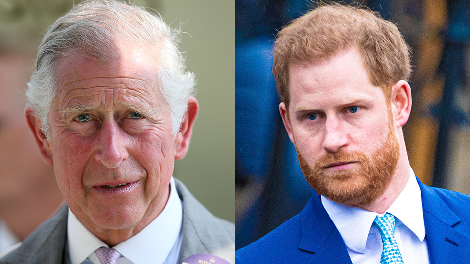 Prince Harry, Prince Charles Relationship 2021 Where They Stand now
