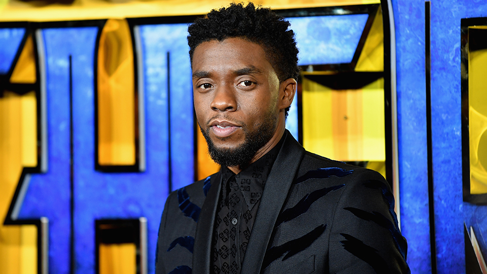 How Did Chadwick Boseman Die? Cause of Death, How He Passed, Last Words StyleCaster