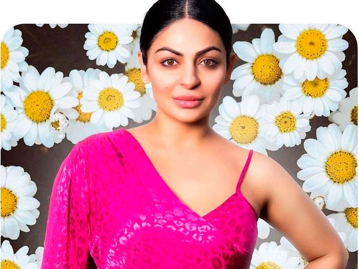 8 Things You Didn't Know About Neeru Bajwa Super Stars Bio