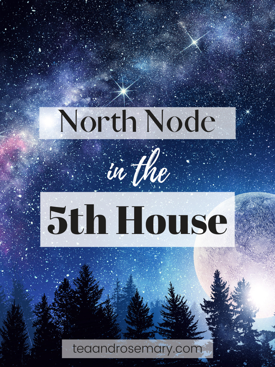 North Node In The 5th House / South Node In The 11th House