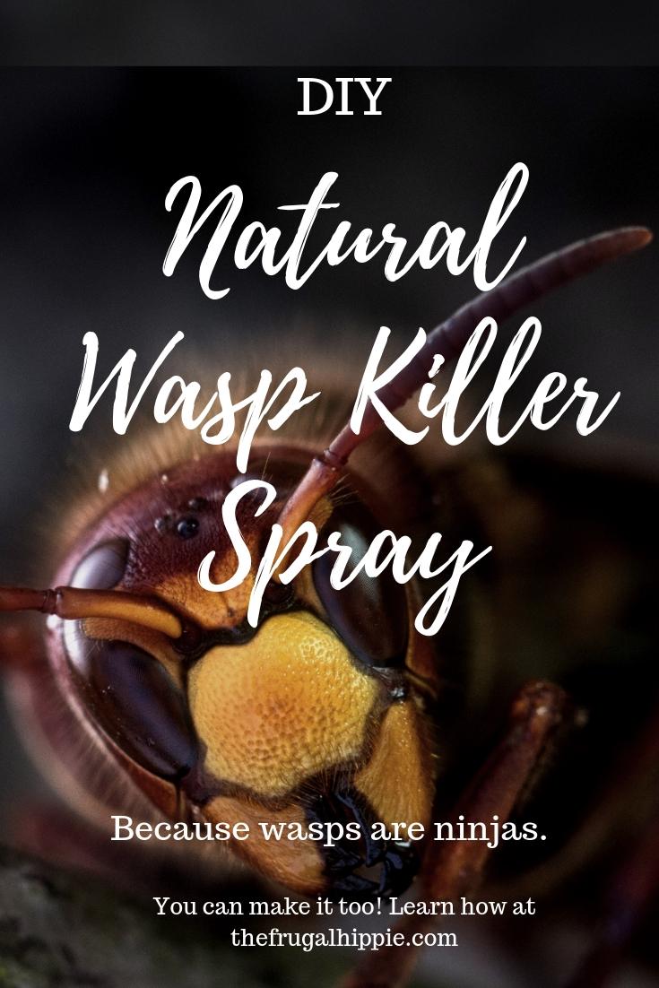 Natural Wasp Spray Diy Because Wasps Are Ninjas The Frugal Hippie