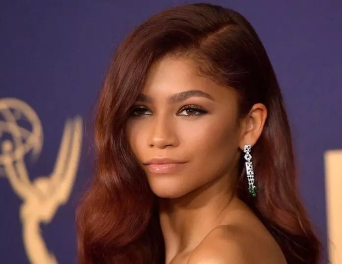 Zendaya Net Worth 2024 The Washington Note