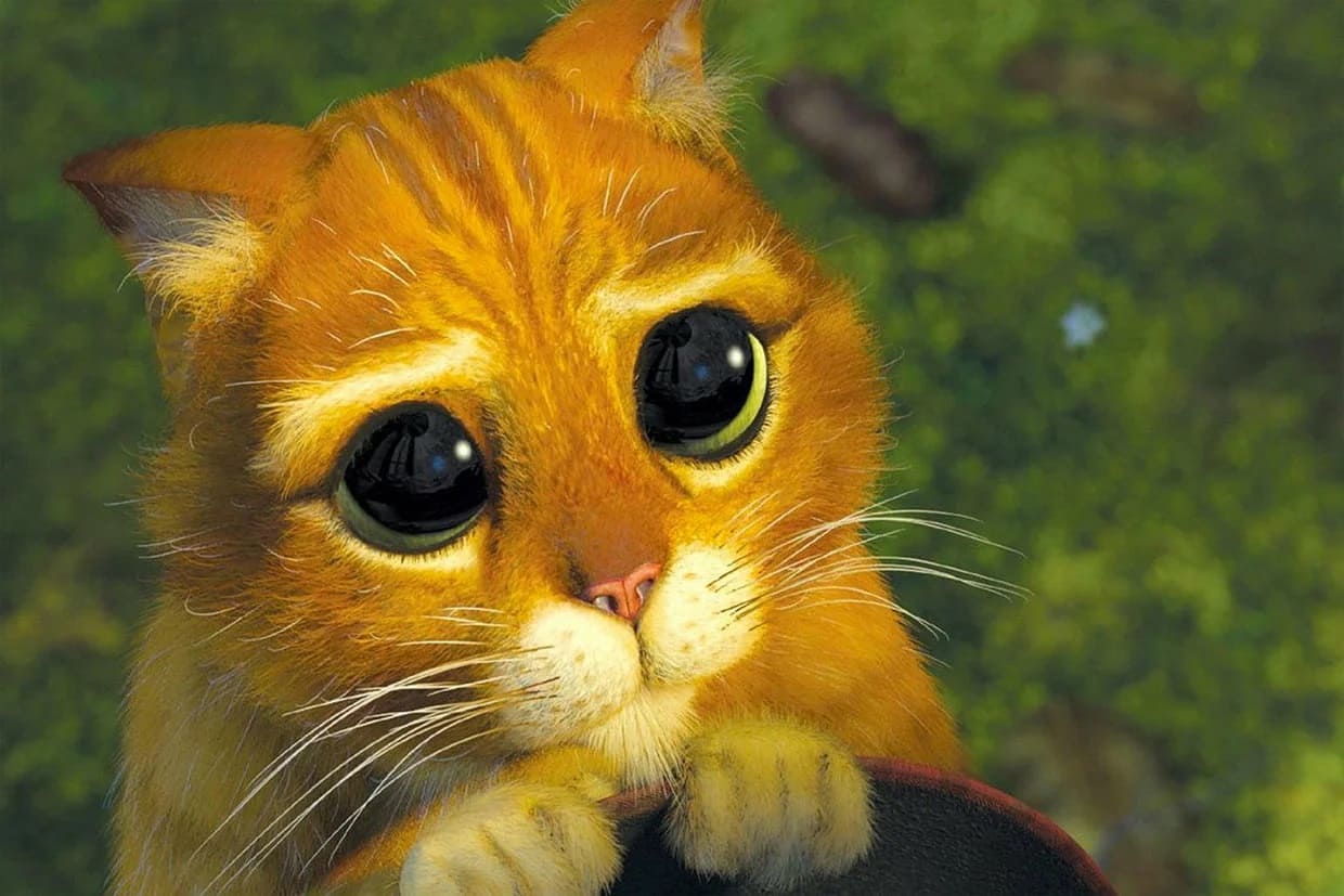 Pictures of Sad Cats. Photos, Cliparts, Images of Cats in Sadness