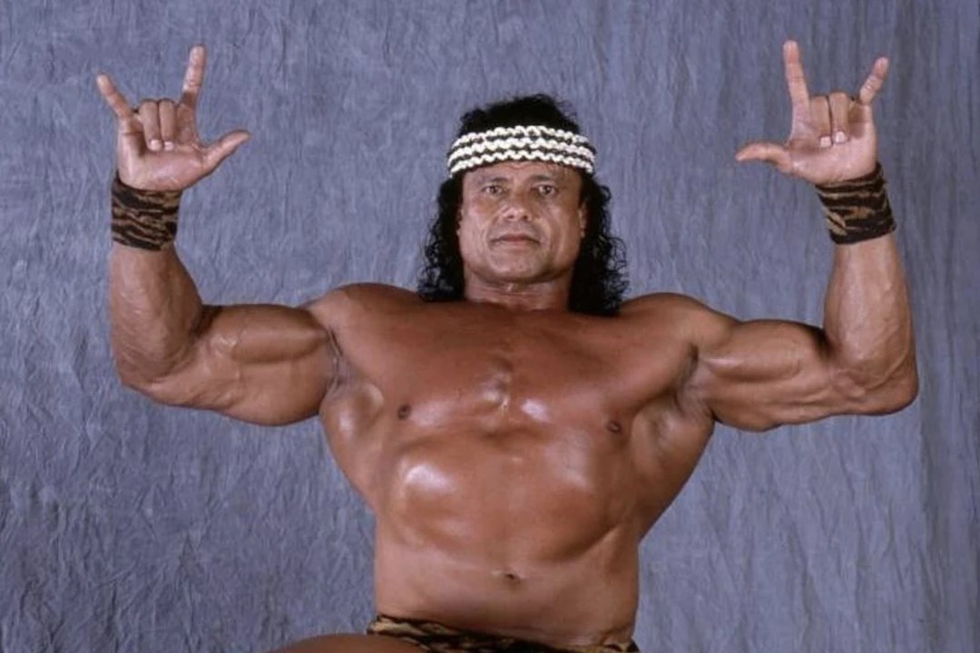 WWE Legend Jimmy 'Superfly' Snuka Dies at 73; DJ Clue, Hulk Hogan