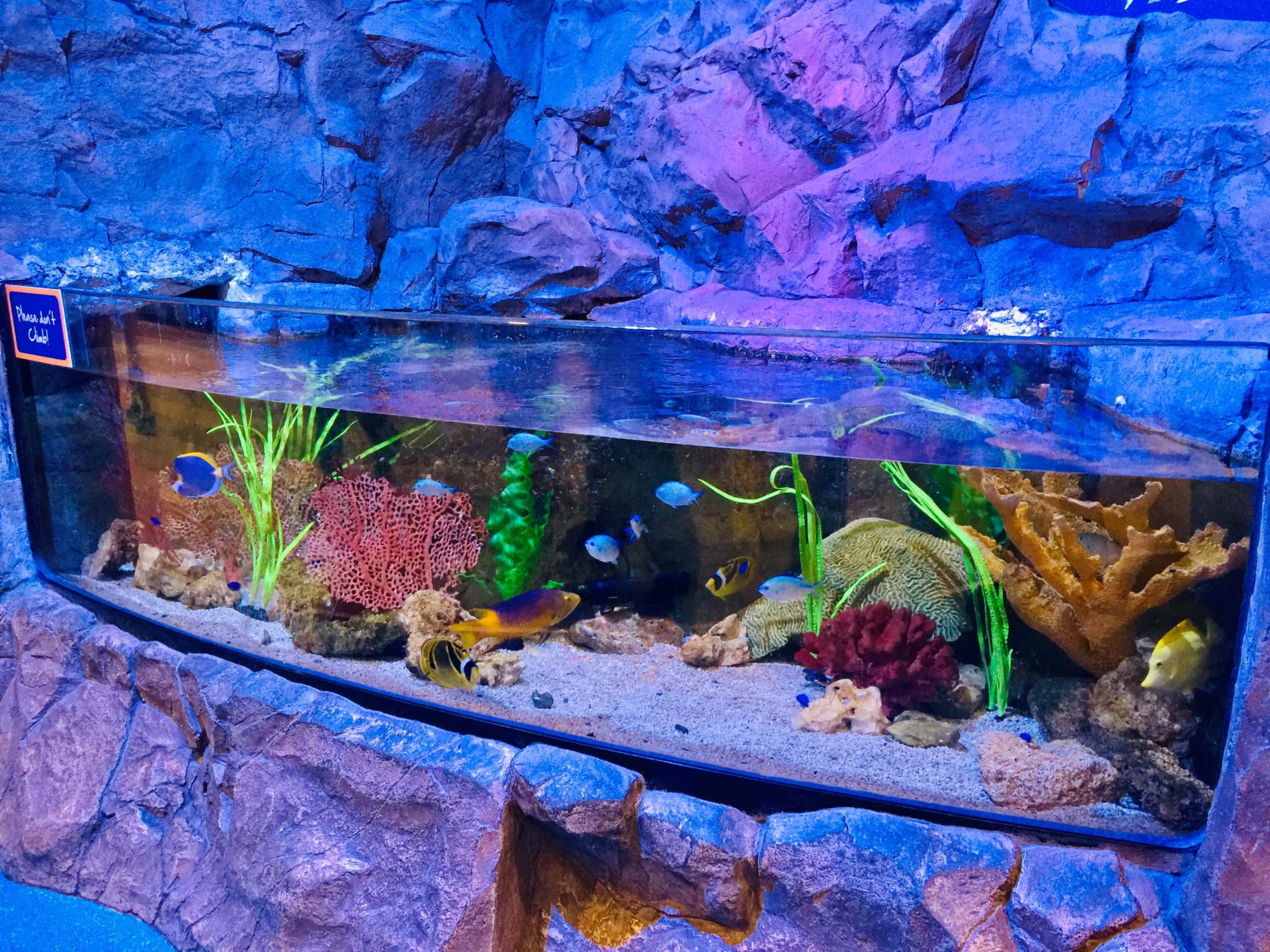 Top U.S. family travel blog, Travel With A Plan, shares the Top 15 list of the Best Mall of America Attractions for kids of all ages in Bloomington, MN!