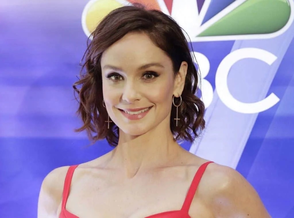 Sarah Wayne Callies Has 2 Kids Keala Winterhalt And Oakes