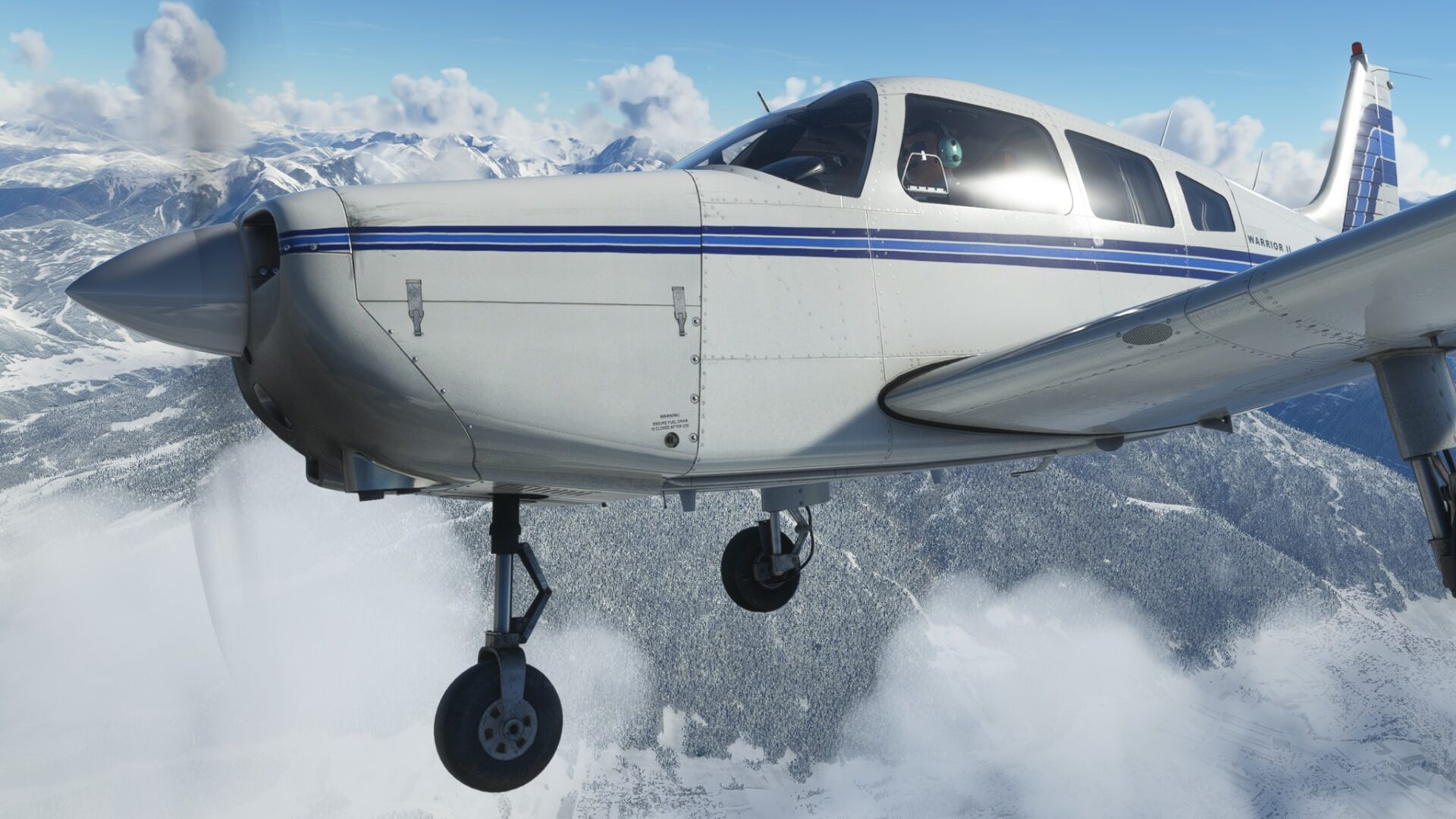 Microsoft Flight Simulator Piper Warrior