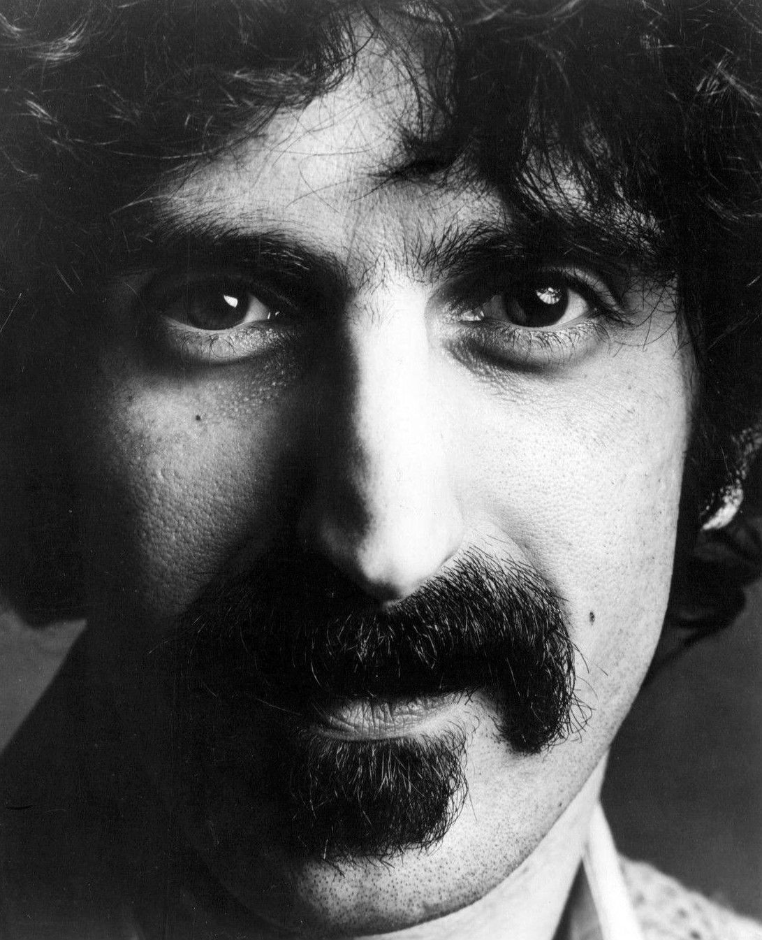 Frank Zappa Wikiwand