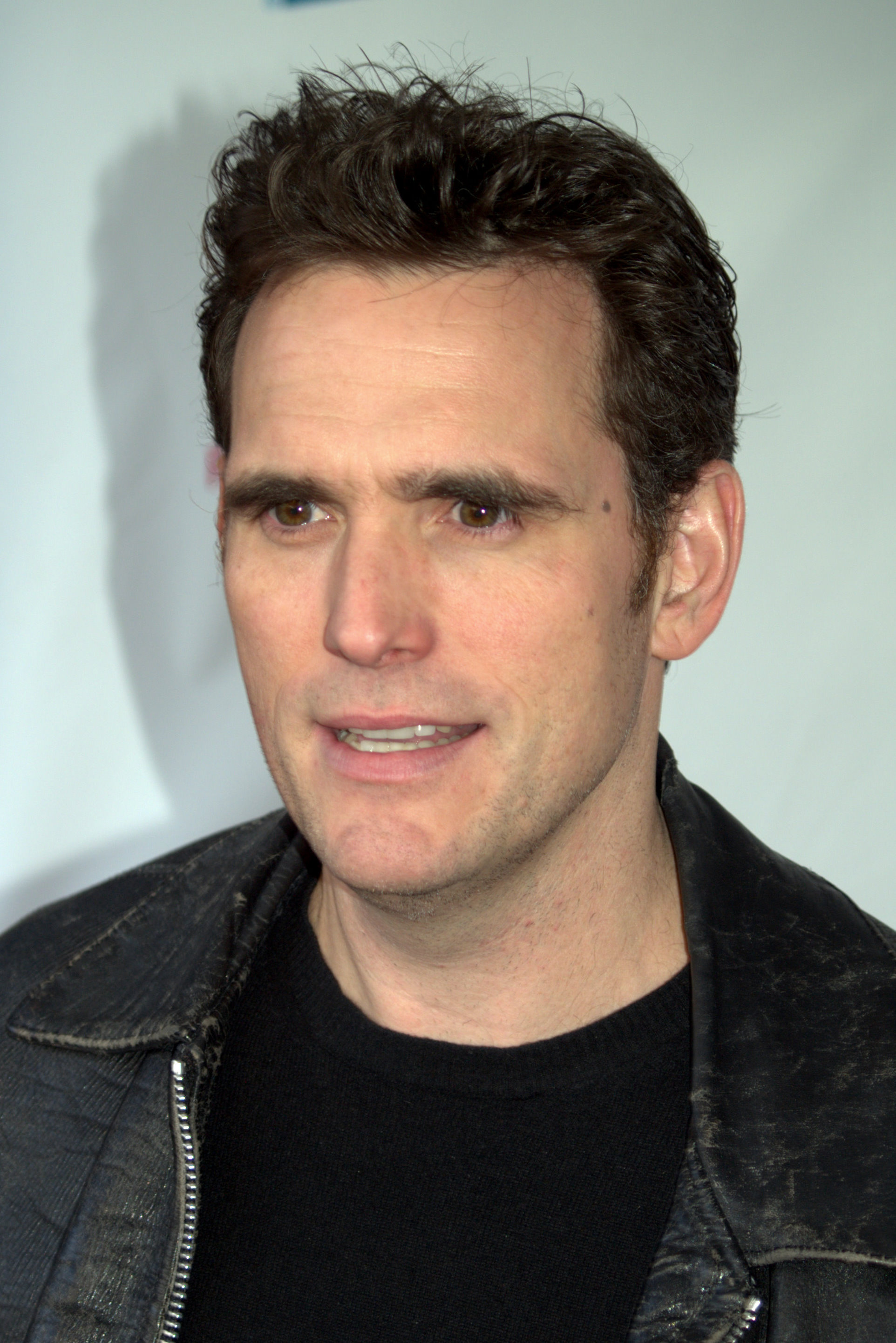 FileMatt Dillon at the 2009 Tribeca Film Festival.jpg Wikipedia