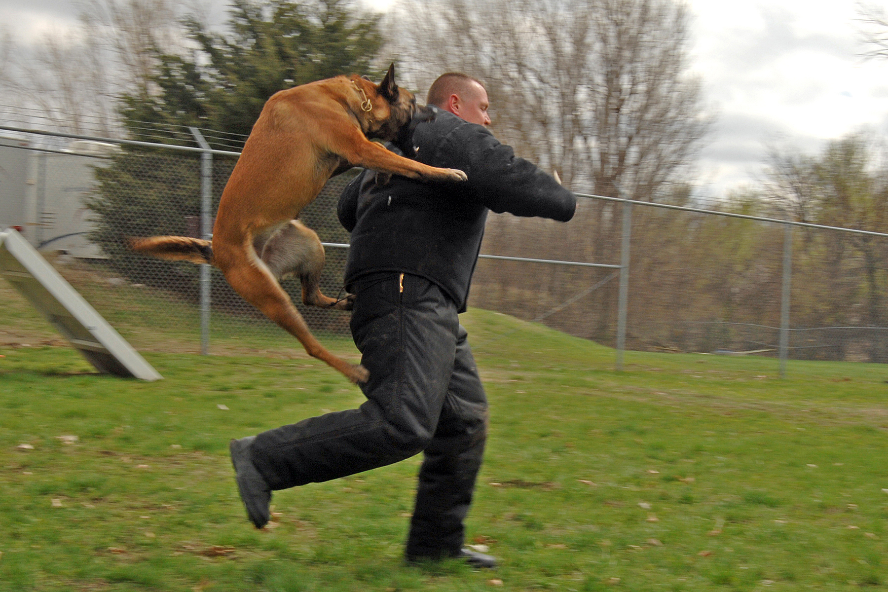 DatotekaPolice dog attack.JPG Wikipedija