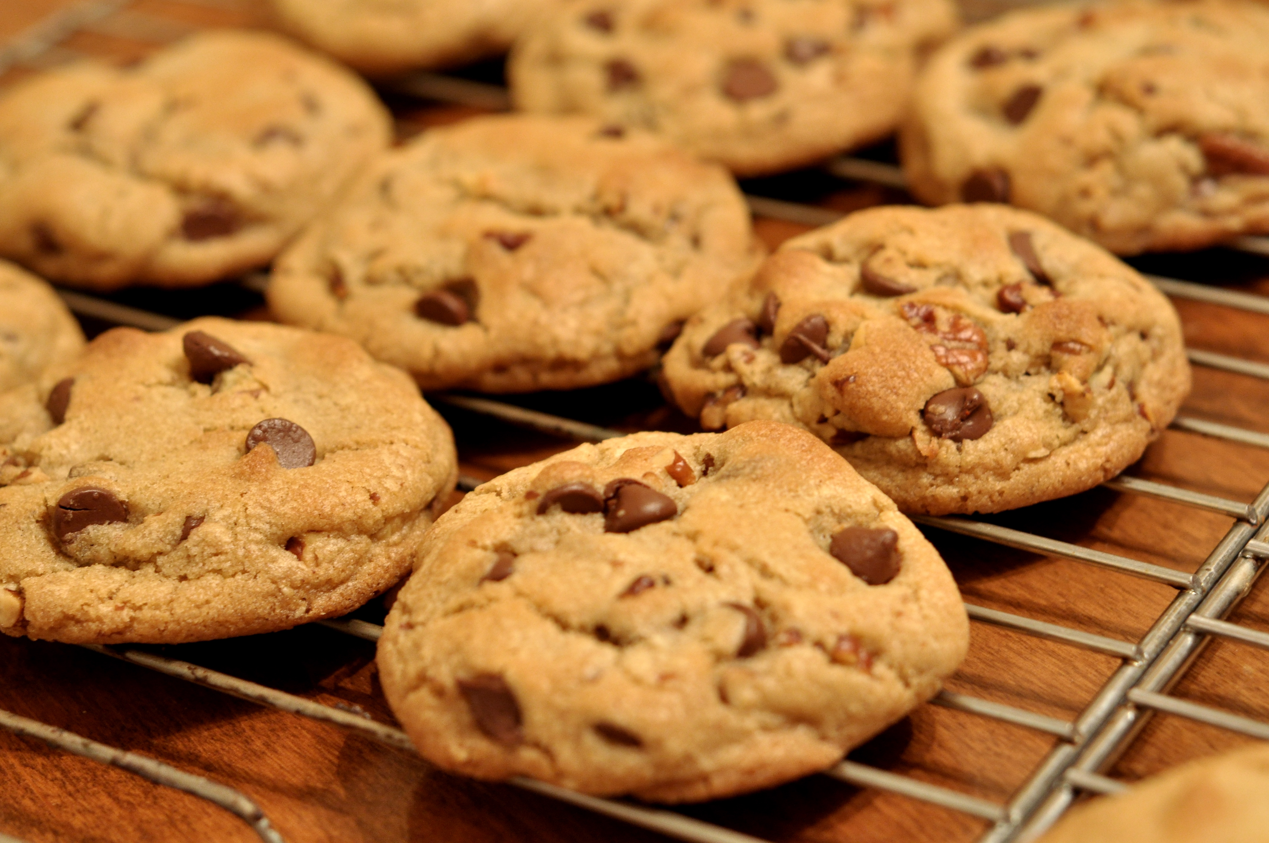 FileChocolate Chip Cookies kimberlykv.jpg Wikimedia Commons