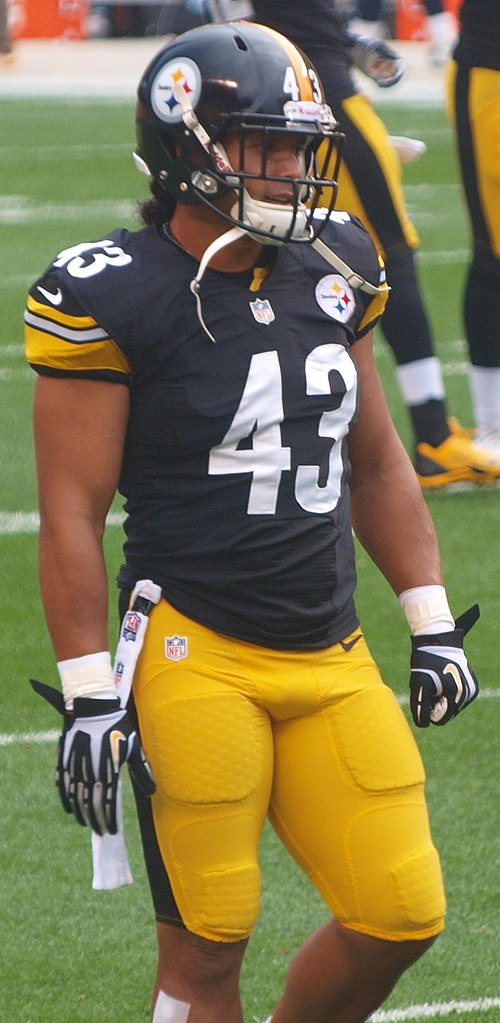 Troy Polamalu Wikiwand