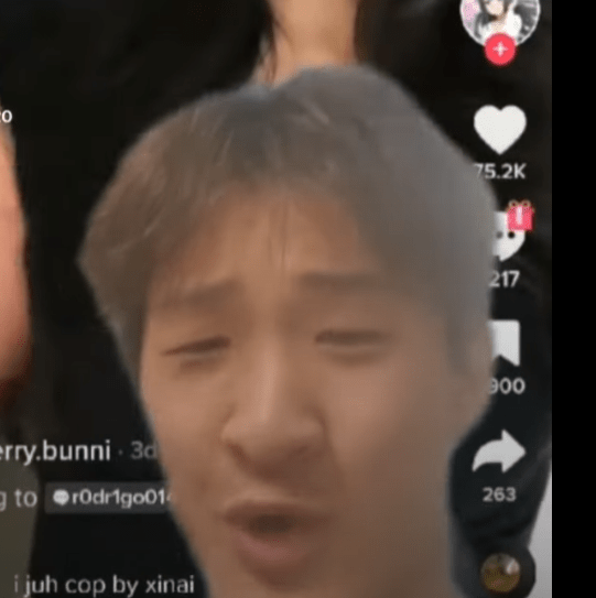 Home say young from the squid game! (Meme) (tiktok inspect 5255953444