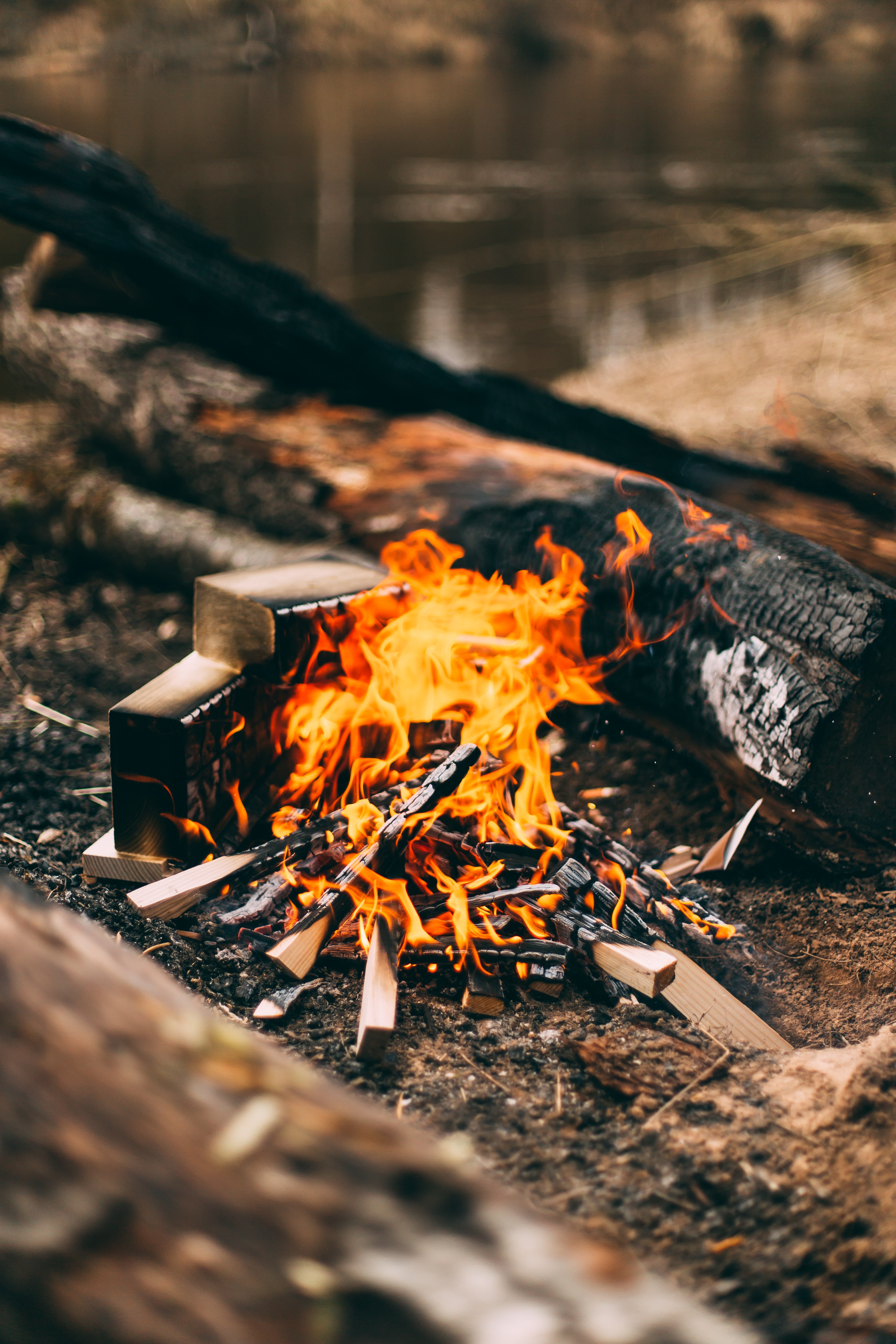 Campfire