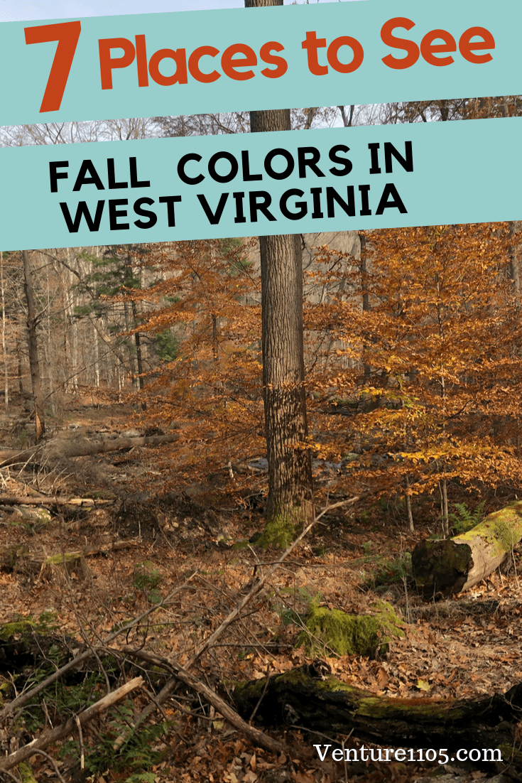 7 Places to See Fall Colors in West Virginia