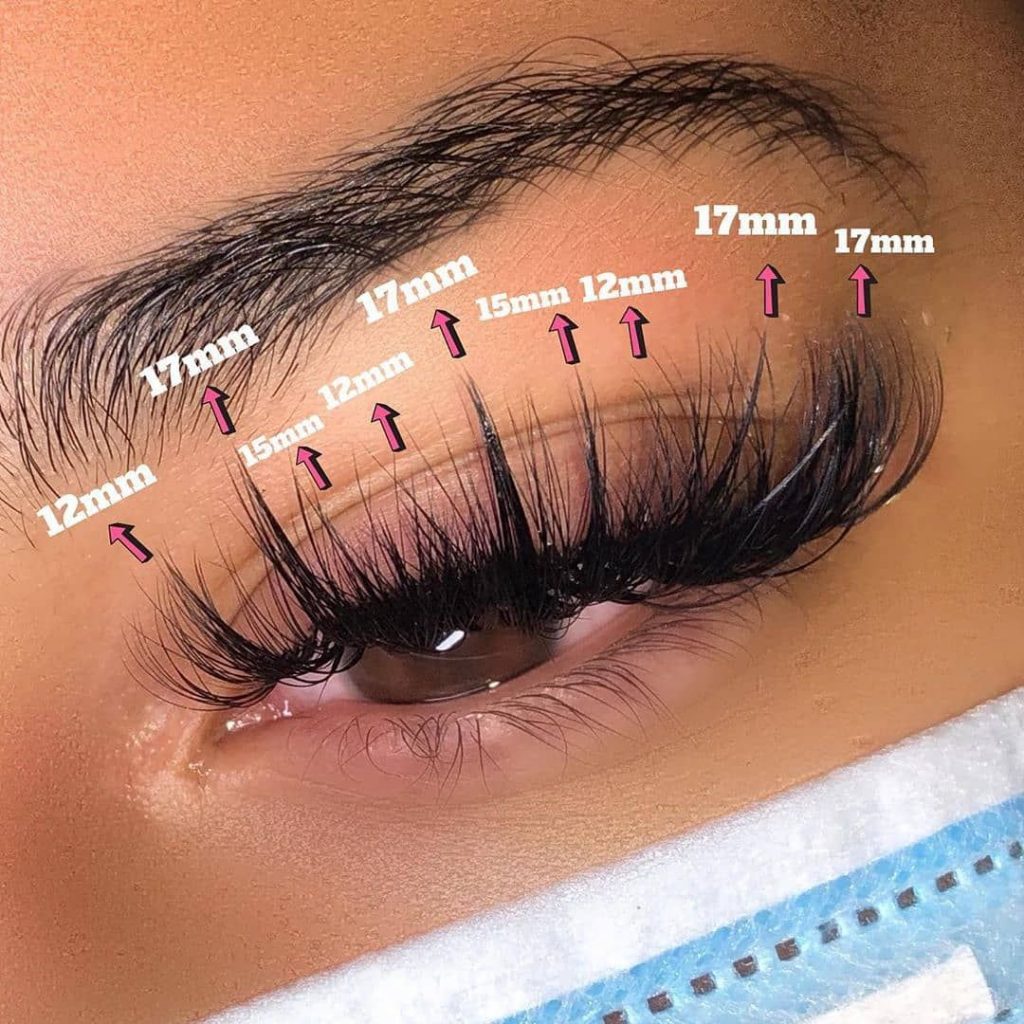 Eyelash Strips and Individual Lashes Verrolyne Training