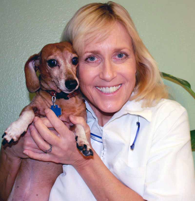 Dr. Dee Alaska Vet and Its Cast Dr. Dee Thornell Biography. Vetshows.